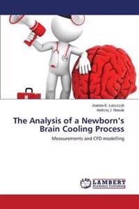 The Analysis of a Newborn's Brain Cooling Process
