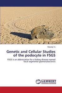 Genetic and Cellular Studies of the podocyte in FSGS
