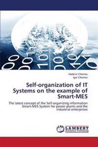 Self-organization of IT Systems on the example of Smart-MES
