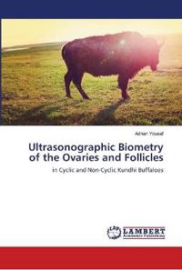 Ultrasonographic Biometry of the Ovaries and Follicles
