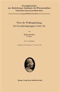 Über die Wellengleichung bei Grenzkreisgruppen erster Art