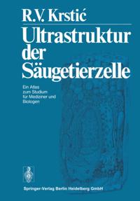 Ultrastruktur der Säugetierzelle