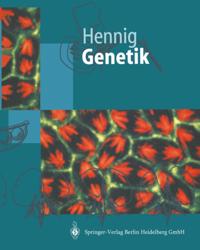 Springer-Lehrbuch