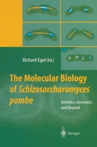 Molecular Biology of Schizosaccharomyces pombe