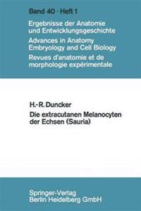 Die extracutanen Melanocyten der Echsen (Sauria)