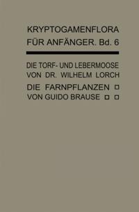 Kryptogamenflora für Anfänger