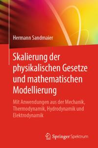 Skalierung der physikalischen Gesetze und mathematischen Modellierung