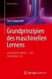 Grundprinzipien des maschinellen Lernens