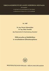 Glühversuche an Stahldrähten in verschiedenen Ofenatmosphären