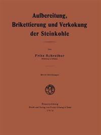 Aufbereitung, Brikettierung und Verkokung der Steinkohle