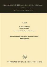 Brennverhalten von Tonen in verschiedenen Atmosphären
