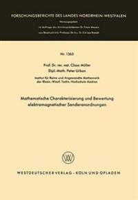 Mathematische Charakterisierung und Bewertung elektromagnetischer Senderanordnungen