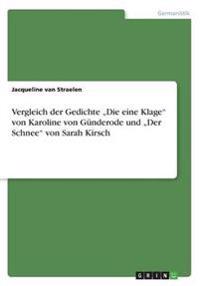 Vergleich der Gedichte "Die eine Klage" von Karoline von Günderode und "Der Schnee" von Sarah Kirsch