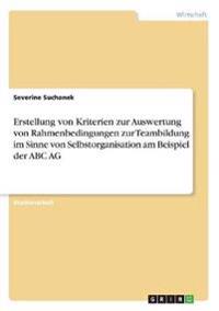Erstellung von Kriterien zur Auswertung von Rahmenbedingungen zur Teambildung im Sinne von Selbstorganisation am Beispiel der ABC AG