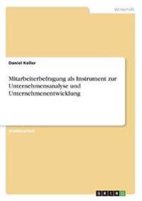 Mitarbeiterbefragung als Instrument zur Unternehmensanalyse und Unternehmenentwicklung