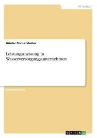 Leistungsmessung in Wasserversorgungsunternehmen