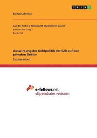Auswirkung der Geldpolitik der EZB auf den privaten Sektor