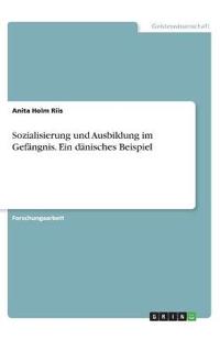 Sozialisierung und Ausbildung im Gefängnis. Ein dänisches Beispiel