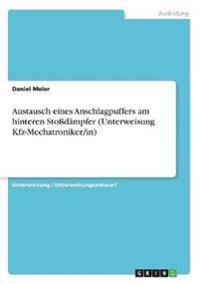 Austausch eines Anschlagpuffers am hinteren Stoßdämpfer (Unterweisung Kfz-Mechatroniker/in)