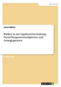 Risiken in der Lageberichterstattung. Darstellungsnotwendigkeiten und Aussagegrenzen