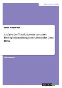 Analyse des Transkriptoms mutanter Drosophila melanogaster Stämme des Gens DmX