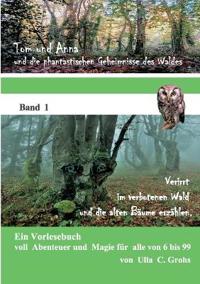 Verirrt im verbotenen Wald und die alten Bäume erzählen