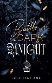 Battle of the dark Knight