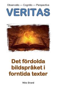 Det fördolda bildspråket i forntida texter