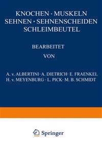 Knochen · Muskeln Sehnen · Sehnenscheiden Schleimbeutel