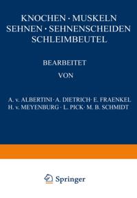 Knochen · Muskeln Sehnen · Sehnenscheiden Schleimbeutel