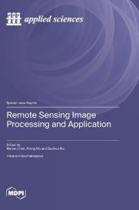 Remote Sensing Image Processing and Application