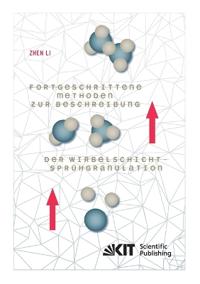 Fortgeschrittene Methoden zur Beschreibung der Wirbelschicht-Sprühgranulation