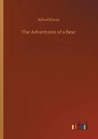 The Adventures of a Bear