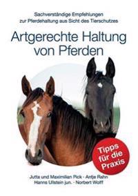 Artgerechte Haltung von Pferden