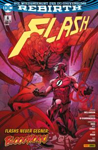 Flash - Negativ-Flash