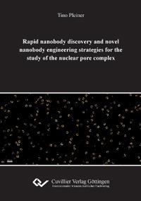 Rapid nanobody discovery and novel nanobody engineering strategies for the study of the nuclear pore complex