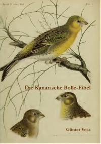 Die Kanarische Bolle-Fibel