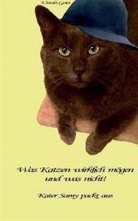 Was Katzen wirklich mögen und was nicht
