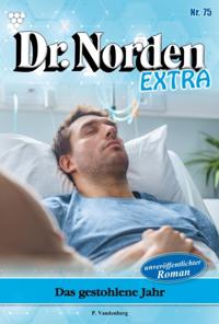 Das gestohlene Jahr