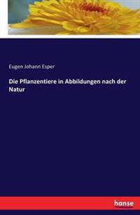 Die Pflanzentiere in Abbildungen nach der Natur