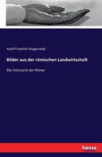 Bilder aus der römischen Landwirtschaft