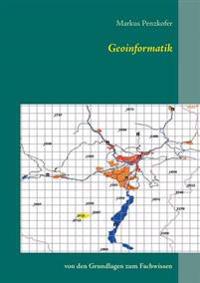 Geoinformatik