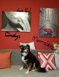 Cindys Memoiren