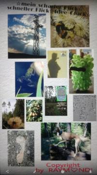 mein _scharfer_BLICK?ein_schneller-KLICK?IDEE+GLÜCK