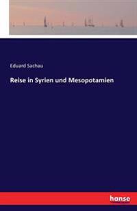Reise in Syrien und Mesopotamien