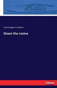 Down the ravine