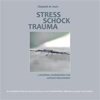Stress Schock Trauma ... verstehen, (an)erkennen und achtsam überwinden