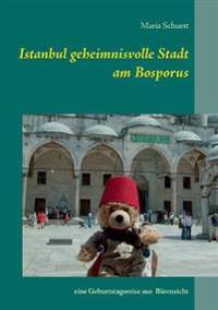Istanbul geheimnisvolle Stadt am Bosporus