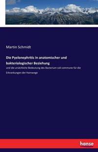 Die Pyelonephritis in anatomischer und bakteriologischer Beziehung