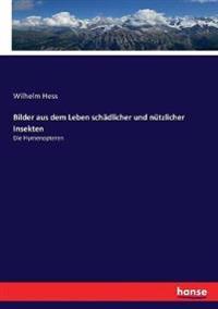 Bilder aus dem Leben schädlicher und nützlicher Insekten